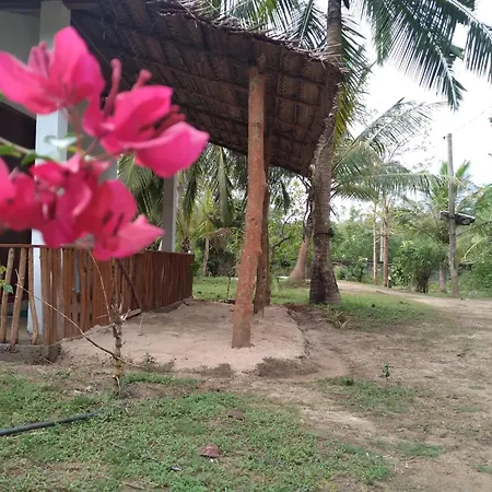 Soma Cabana, Homestay & Restaurant Tangalle Exterior photo