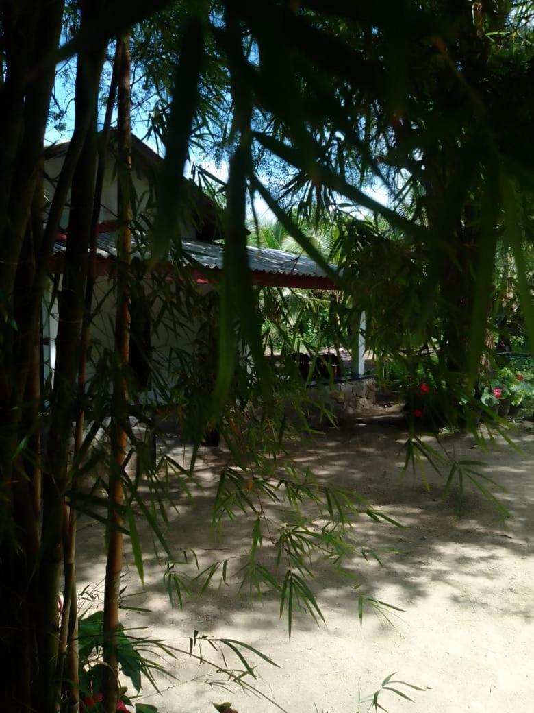Soma Cabana, & Restaurant Проживание в семье Тангалла